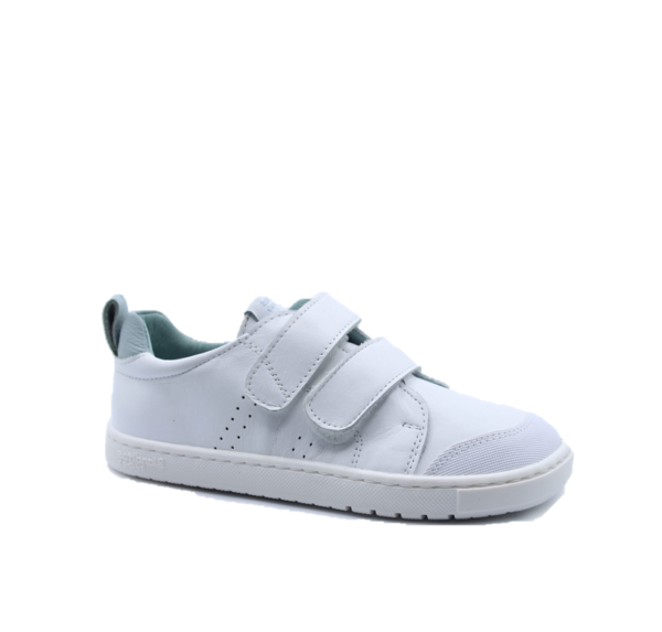 Zapatilla deportiva Respetuosa Blanditos by Crio's Rio BC Colegial Celeste