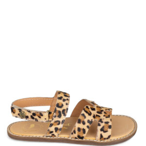 Sandalia Chetto 1126032 Animal Print - Escala Sabates